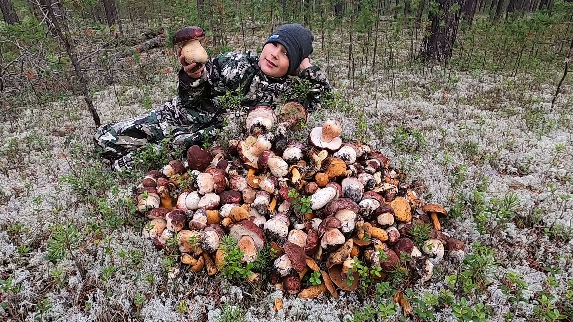 СОБИРАЕМ БЕЛЫЕ ГРИБЫ С СЫНОМ В ЧИСТОМ ЯГЕЛЬНОМ ЛЕСУ ЯМАЛА! ПРЕКРАСНЫЙ ДЕНЬ С СЫНОМ НА ПРИРОДЕ!