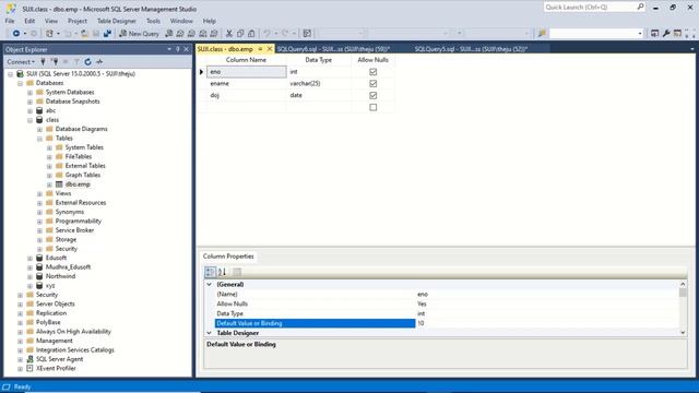 Constraints in SQL Server --MS SQL Server complete course in Telugu-Lesson-14