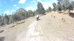 ycf 190 v yamaha yz 125