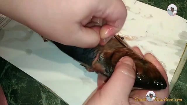 КАК ЧИСТИТЬ СЕЛЕДКУ ВИДЕО~РАСКРЫВАЕМ СЕКРЕТ ФОКУСА  (ВИДЕО 1,2 МИНУТЫ) смотреть онлайн