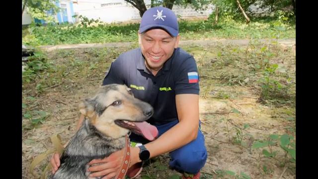 Спасатели Московского авиацентра в приюте для животных смотреть онлайн