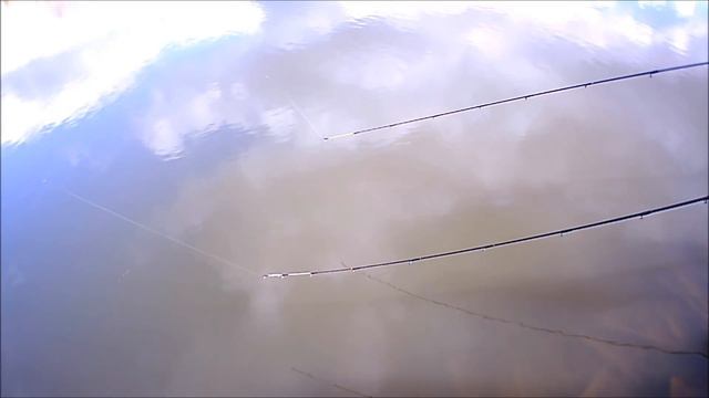 Ловля карпа в ноябре смотреть онлайн