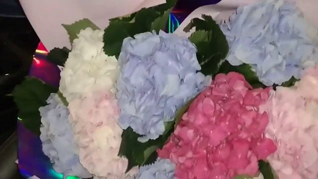 Доставка цветов Днепр - отзывы - получатели Курьерская доставка цветов в Днепропетровске.(3)