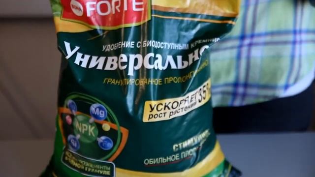 Подкормка плодовых деревьев и кустарников весной | Bona Forte для открытого грунта