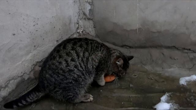 Утепляемся к зиме,приобрёл термобельё.