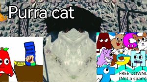 Толстая такса и кот пофигист эффект