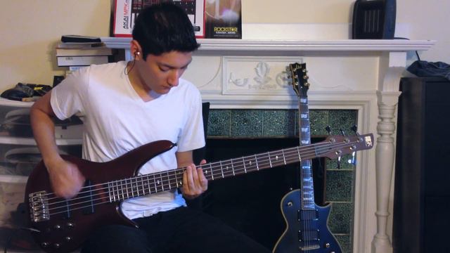 The Amity Affliction | Lost & Fading [Bass Cover] смотреть онлайн