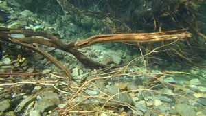 Путешествие по тенькинской трассе, июль 2019