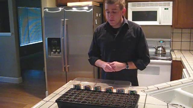 Planting Milkweed Seeds - Part 2 смотреть онлайн