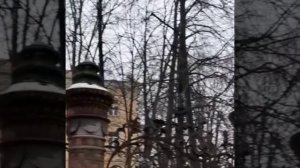 #песня #чуть моросящий дождик портил весь этюд #кавер
