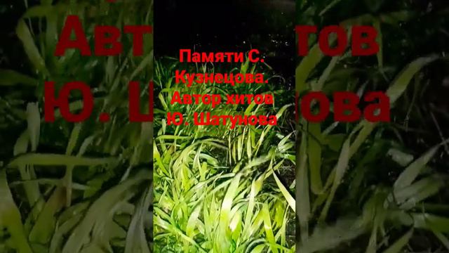 Шатунов и Кузнецов 🙏 Ты просто был.