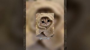 анна асти - по барам /speed up/