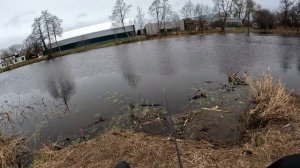 оказывается что 1.января можно и на рыбалку ехать, отличный окунь на дропшот, отчёт №287