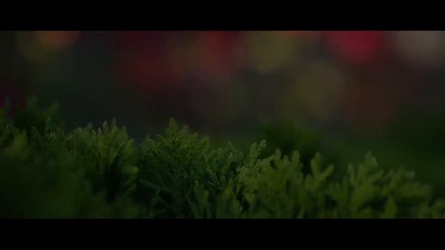 Backstage "Летние лучи солнца" смотреть онлайн