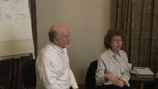 disk5 Воотон Норман [2008] - Эпистемологические метафоры и «раненый внутренний ребенок»