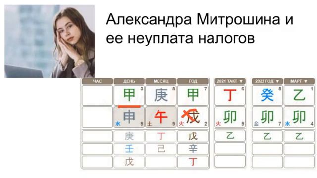 МИТРОШИНА не платит налоги  У кого деньги?  Разбор