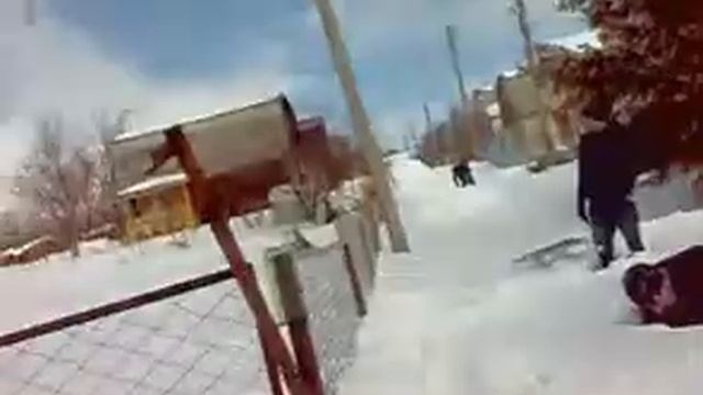 вяленый судак смотреть онлайн