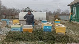 Защита пчёл от синичек, дятлов, снега, солнца и ветра. ПЧЕЛОВОДСТВО!