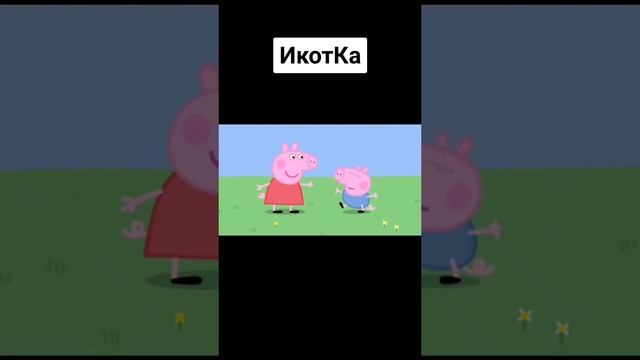 mem 9