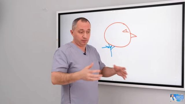 Запись_2023_03_21_12_27_19_519