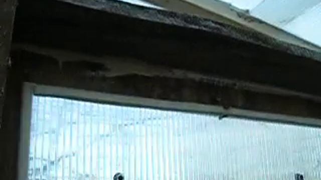 Sarah and Jim's composting outhouse! смотреть онлайн