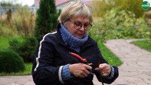 Сажаю луковичные только так !!! Попробуйте этот способ посадки луковичных осенью