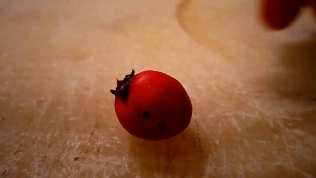 Wild Food Foraging- Hawthorn- Great for the Heart! смотреть онлайн