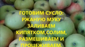 КАК ПРАВИЛЬНО ГОТОВИТЬ МОЧЁНЫЕ ЯБЛОКИ