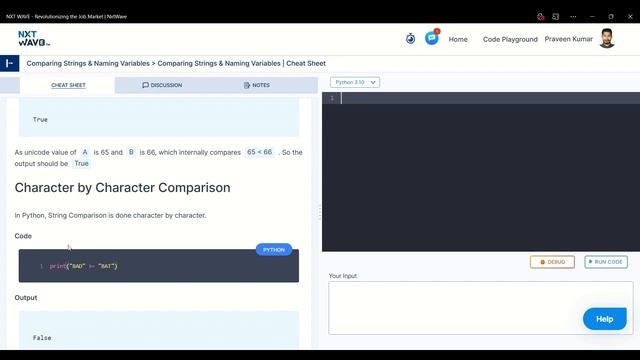 Strings and Naming Variables | Python Tutorial for Beginners