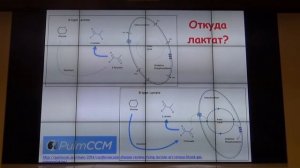 Анализ газов крови Мазурок В А