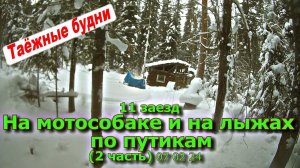 11 заезд На мотособаке и на лыжах по путикам Выезд (2 часть) 07 02 24