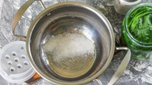 Листовой сельдерей на зиму