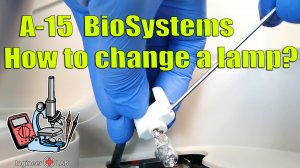 Замена лампы А15 BioSystems