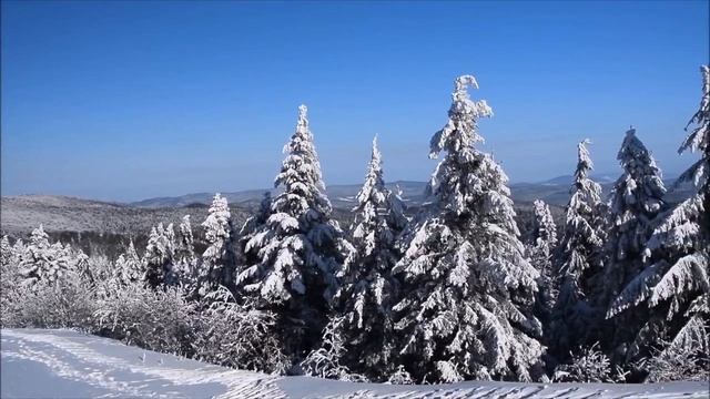 БЕЛАЯ ПОРА!