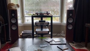 Monitor Audio Silver 500 7G. Steely Dan..