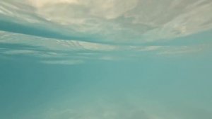 Coco Palm Dhuni Kolhu (Maldives 2021) - Island Tour