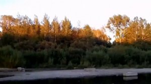 Мостик к острову на реке Томь в городе Кемерово