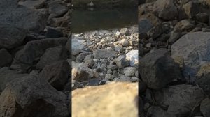 Рыбалка в Екатериновке.