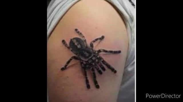 30 TARANTULA Tattoos Designs for men смотреть онлайн