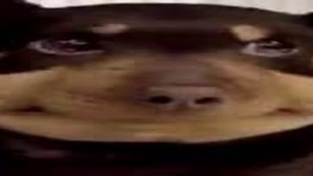 I Put Every Minecraft Dimension Through Google Translate 1 QUADRILLION Times... смотреть онлайн