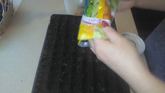 Первые посевы. Виола, гацания, бегония вечноцветущая смотреть онлайн