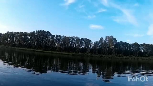река Томь, ловля окуня на поппер.