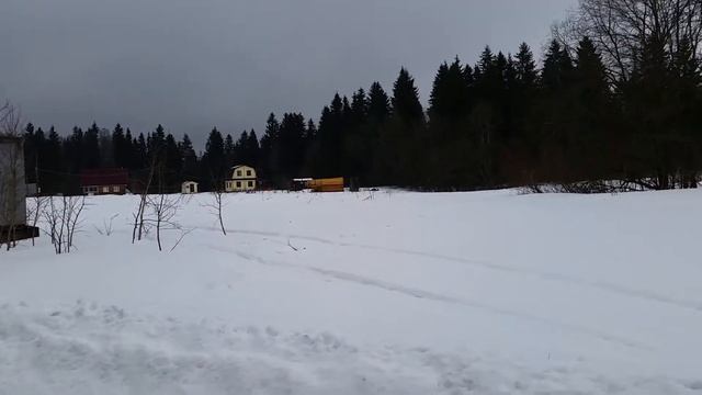ЗИМИТИЦЫ