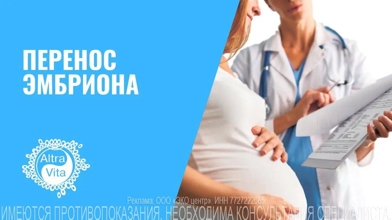 Перенос эмбрионов в программе ЭКО