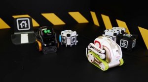 ЧТО ЕСЛИ РОБОТ ANKI COZMO И ANKI VECTOR УВИДЯТ ДРУГ ДРУГА? ДВА ИСКУССТВЕННЫХ ИНТЕЛЛЕКТА VS ПАЛОЧНИ