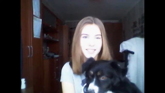 МОЙ ДОМАШНИЙ ПИТОМЕЦ/ Я люблю собак смотреть онлайн