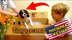 ЧТО В КОРОБКЕ Бандеролька посылки из США в 2024 ч1