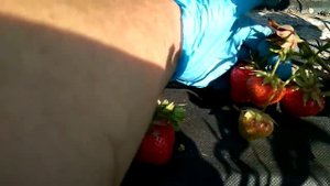 Клубника сорт 'Дарселект"