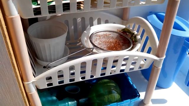 Флай леди - Огород на подоконнике, где найти место? смотреть онлайн