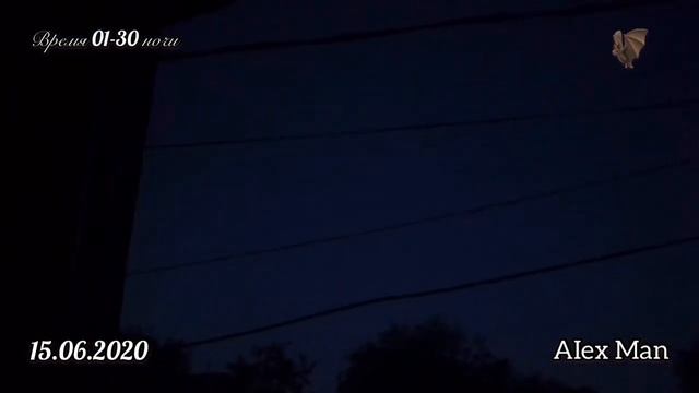 Летучие мыши летали ночью под окном))) 15.06.2020 смотреть онлайн
